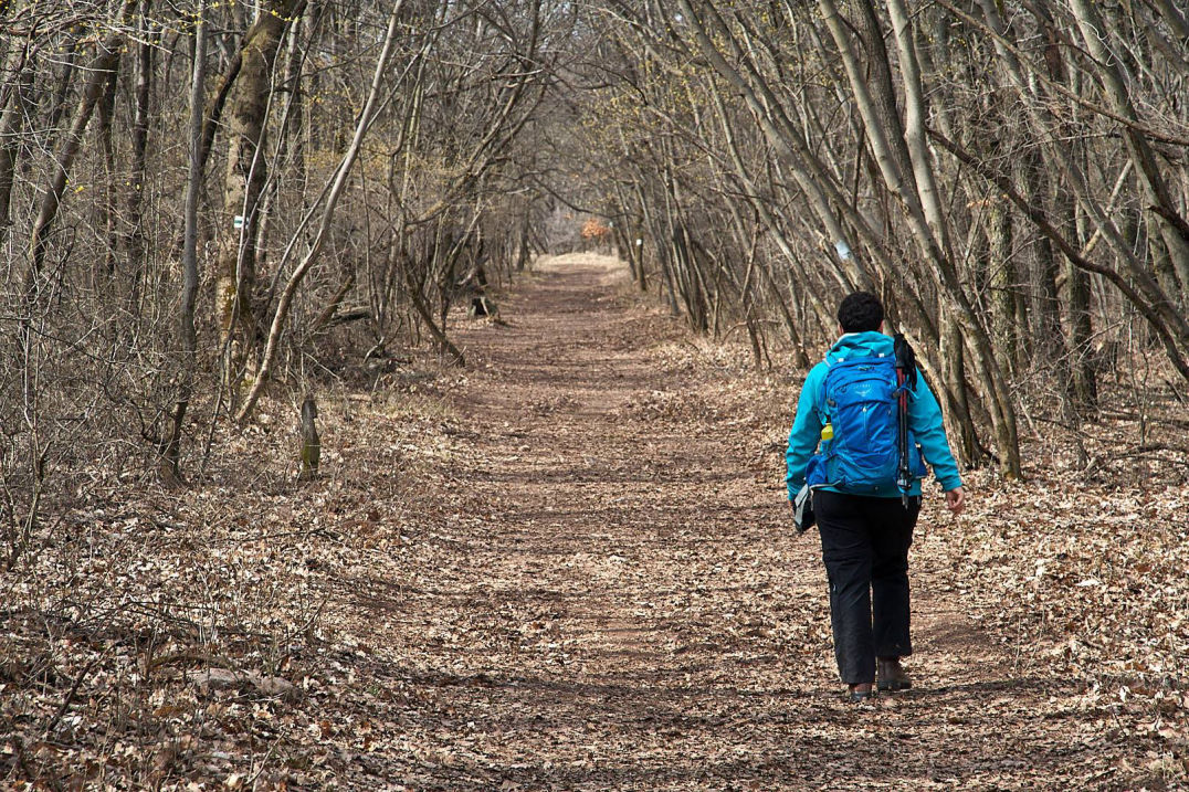 Barta Zora trainer in her route